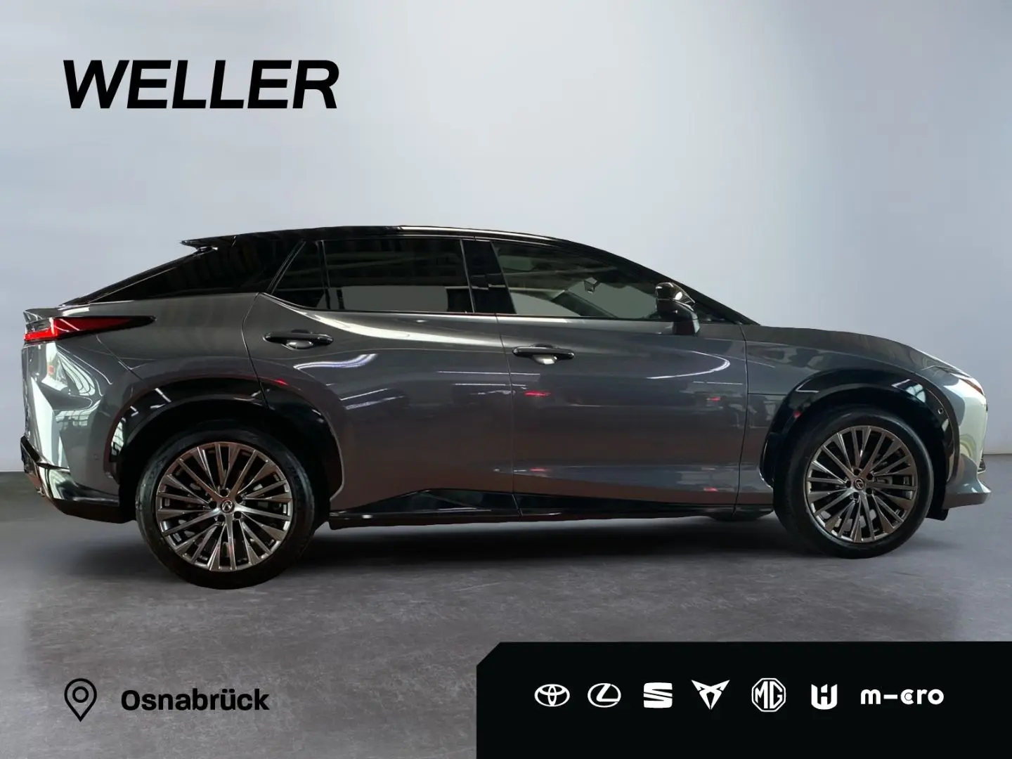 RZ 450e Luxury Paket  360  Pano dimmbar 20