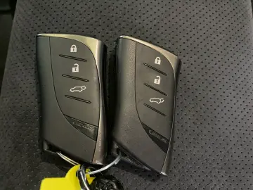 RZ 450e Luxury Paket  360  Pano dimmbar 20