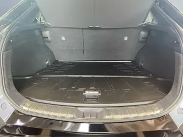 RZ 450e Luxury Paket  360  Pano dimmbar 20