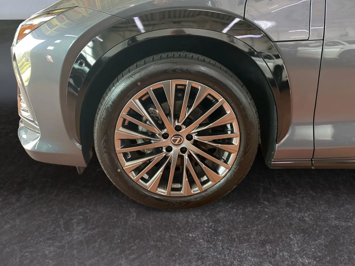 RZ 450e Luxury Paket  360  Pano dimmbar 20