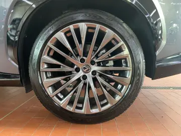 RZ 450e Luxury Paket  360  Pano dimmbar 20