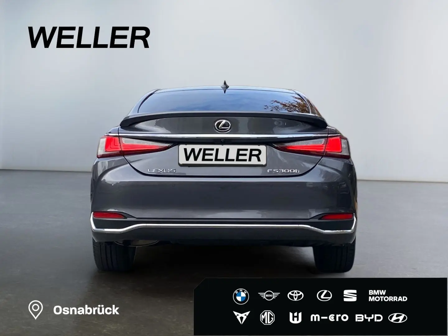 ES 300 h Executive Line  Bi-LED Leder 360  GSD