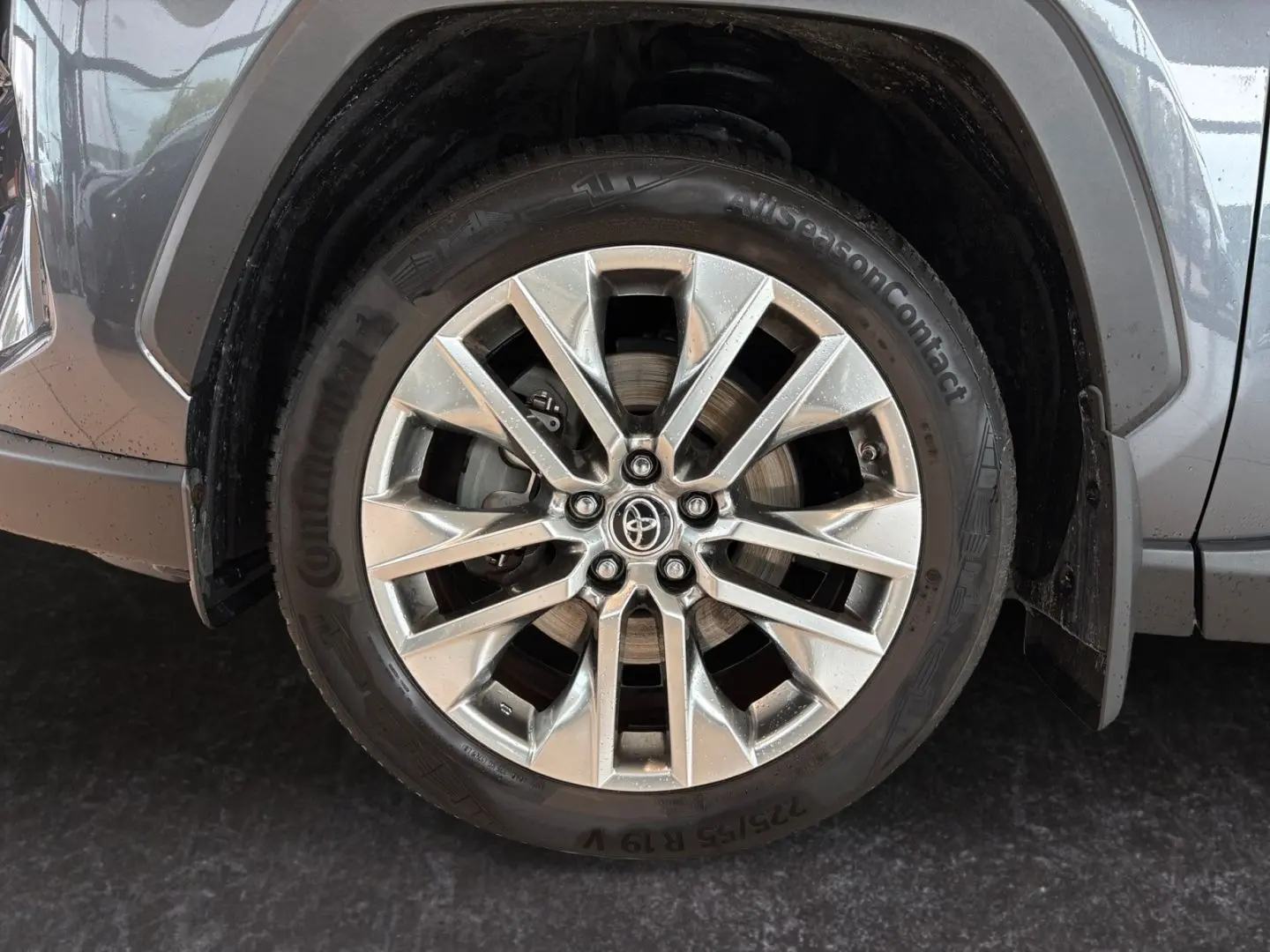 RAV 4 2.5 Hybrid Lounge 4x4  360 Navi LED JBL Ga