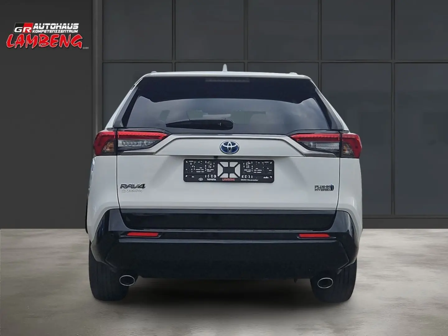 RAV 4 Plug-in-Hybrid