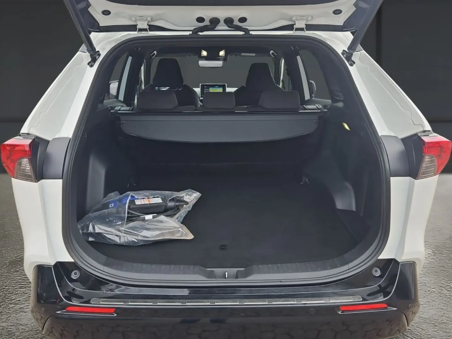 RAV 4 Plug-in-Hybrid