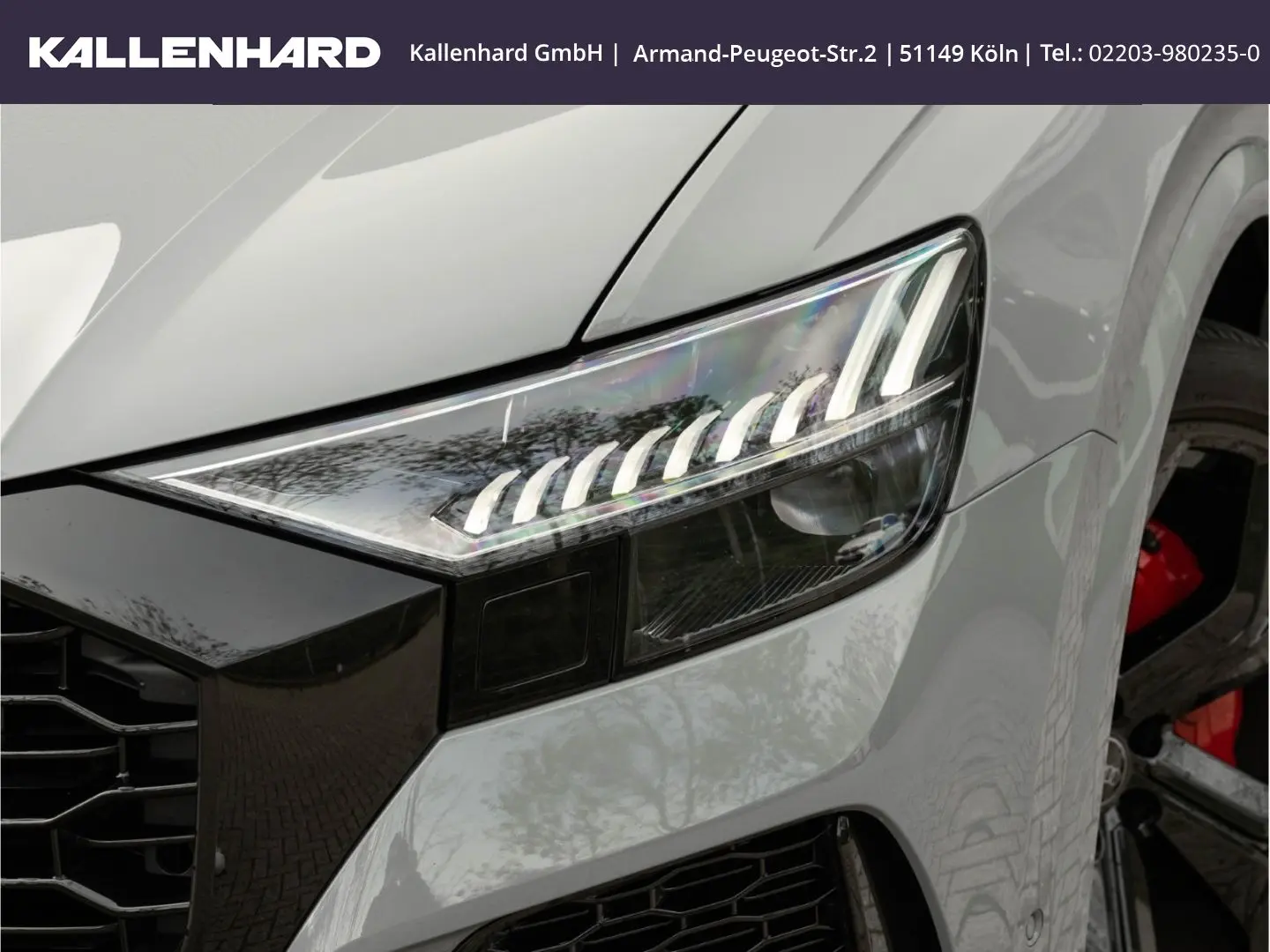 RSQ8 Quattro-Pano-Matrix LED-Bang&Olufsen-AHK