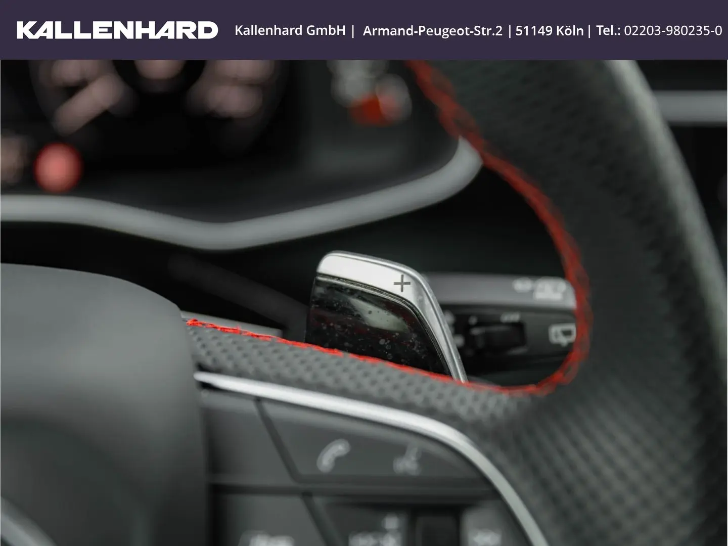 RSQ8 Quattro-Pano-Matrix LED-Bang&Olufsen-AHK