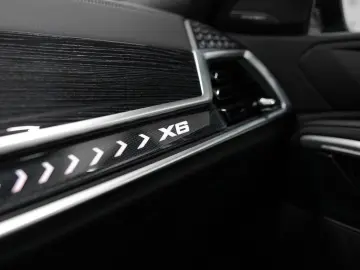 X6 30d xDRIVE M SPORT PAKET CARBON STOCK