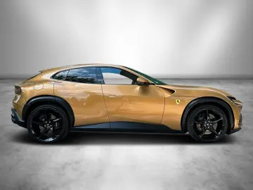 Purosangue   Special Colour