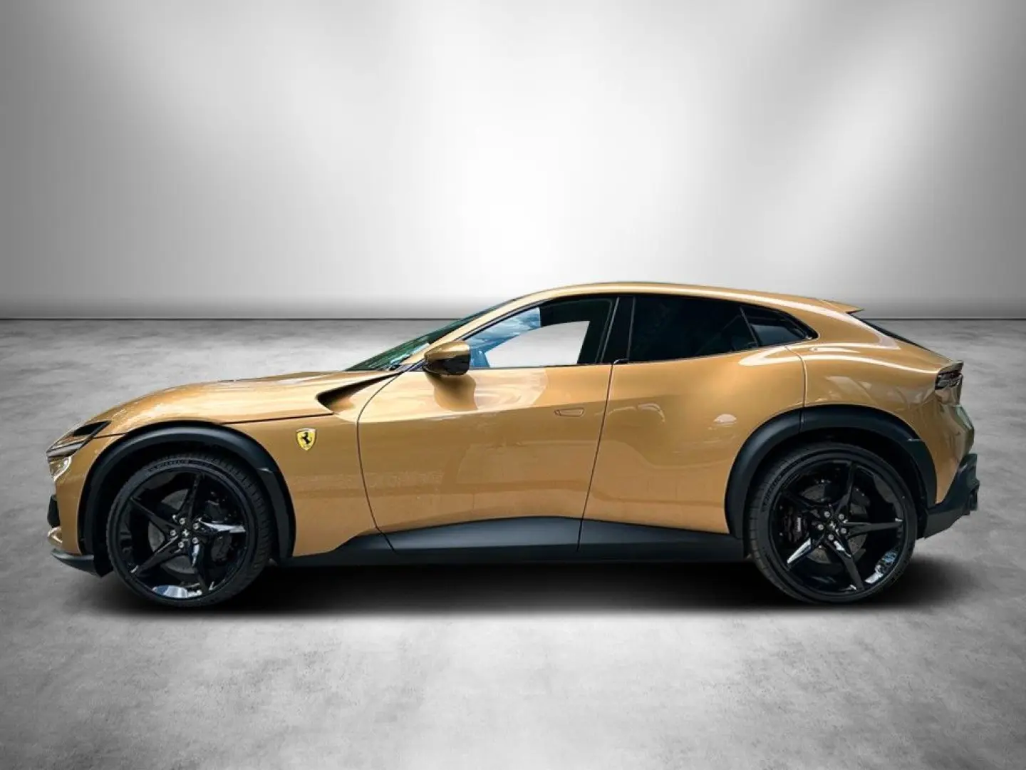 Purosangue   Special Colour