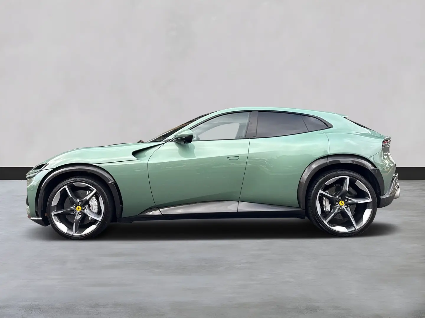 Purosangue  Embleme HiFi PDC Klima Leder