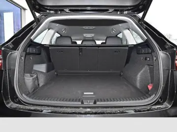 Kodiaq 2.0 TDI 4x4 DSG