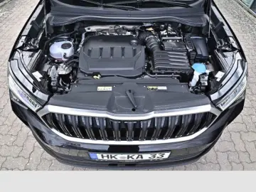 Kodiaq 2.0 TDI 4x4 DSG
