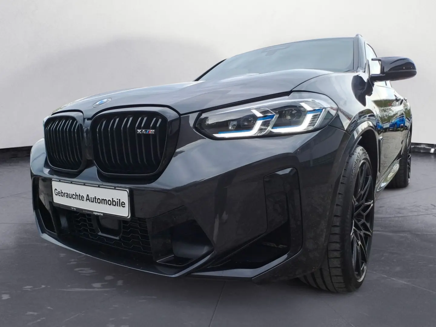 X4 M COMPETITION M Driver's Package AHK Pano Sit