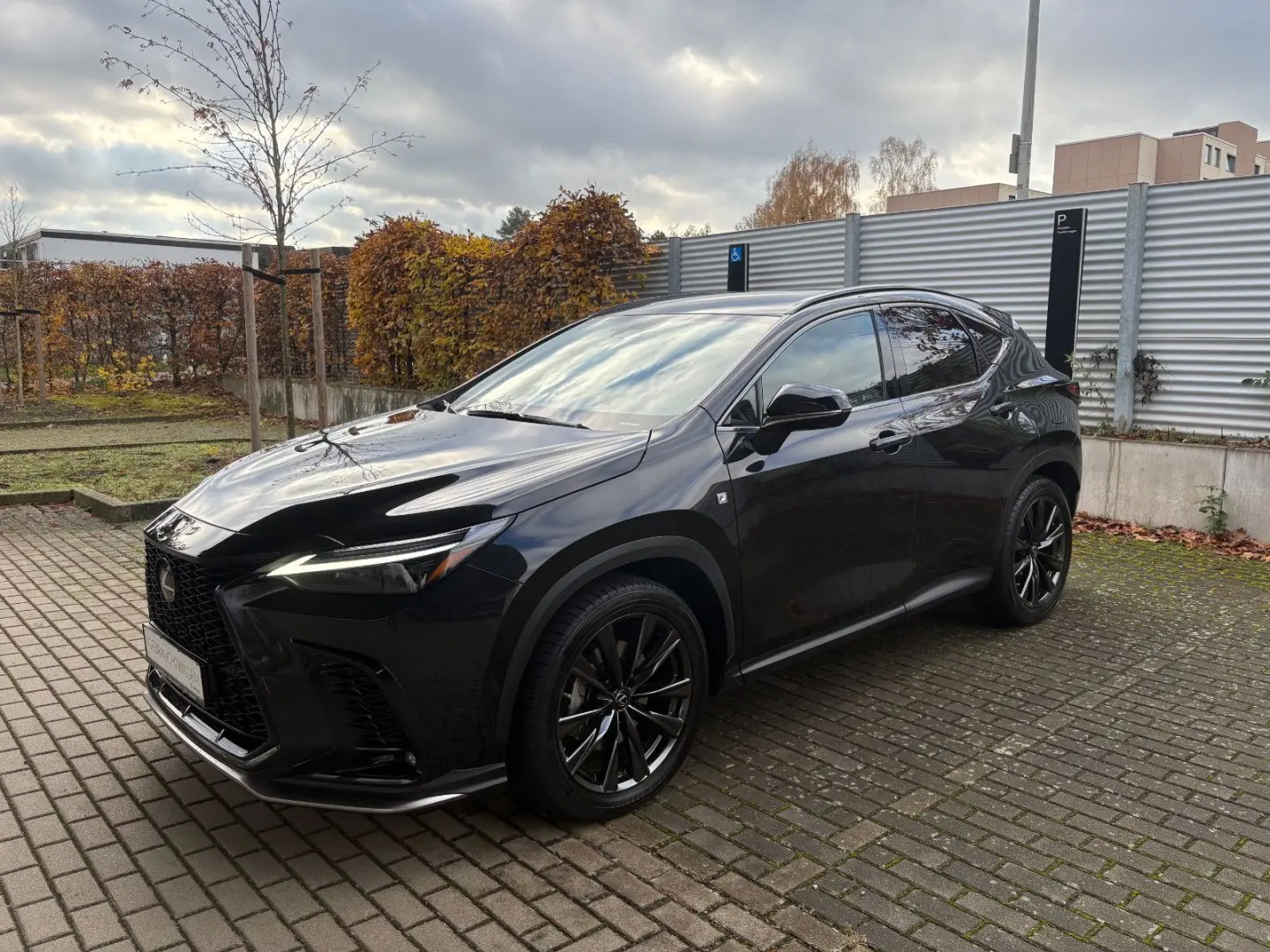 NX 450h  P-Navi  HUD  360   SHZ    -RESERVIERT-