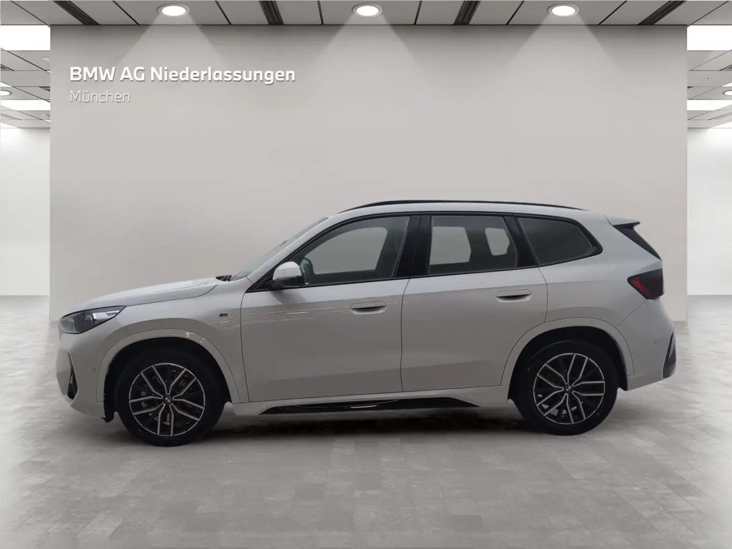 X1 xDrive23i M Sport AHK Kamera Driv.Assist LED