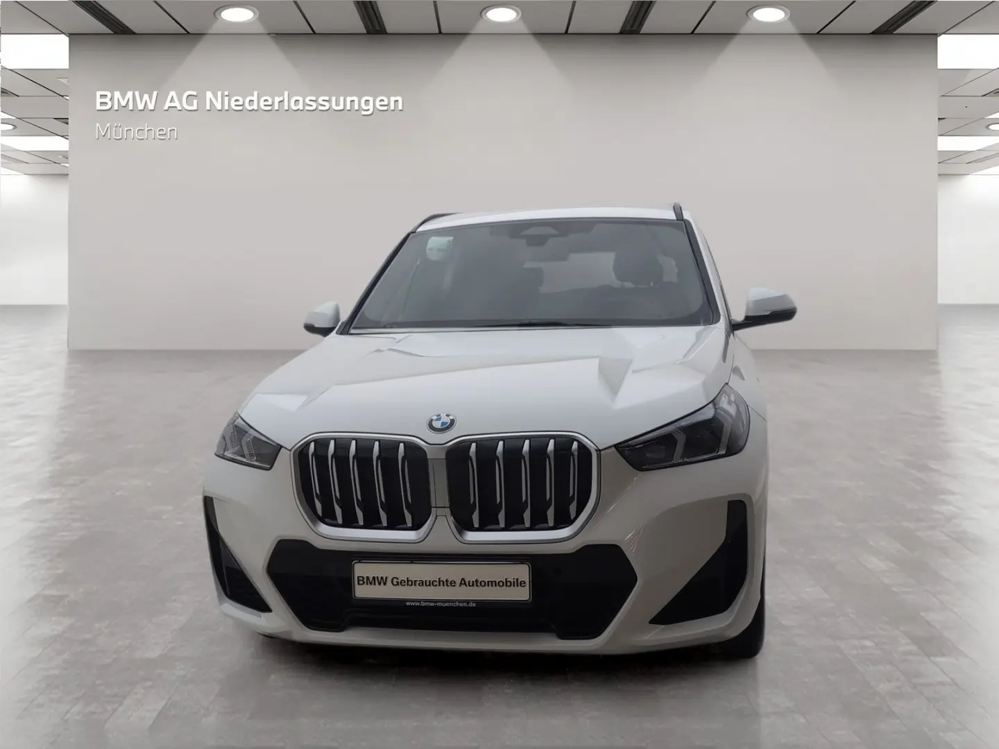 X1 xDrive23i M Sport AHK Kamera Driv.Assist LED