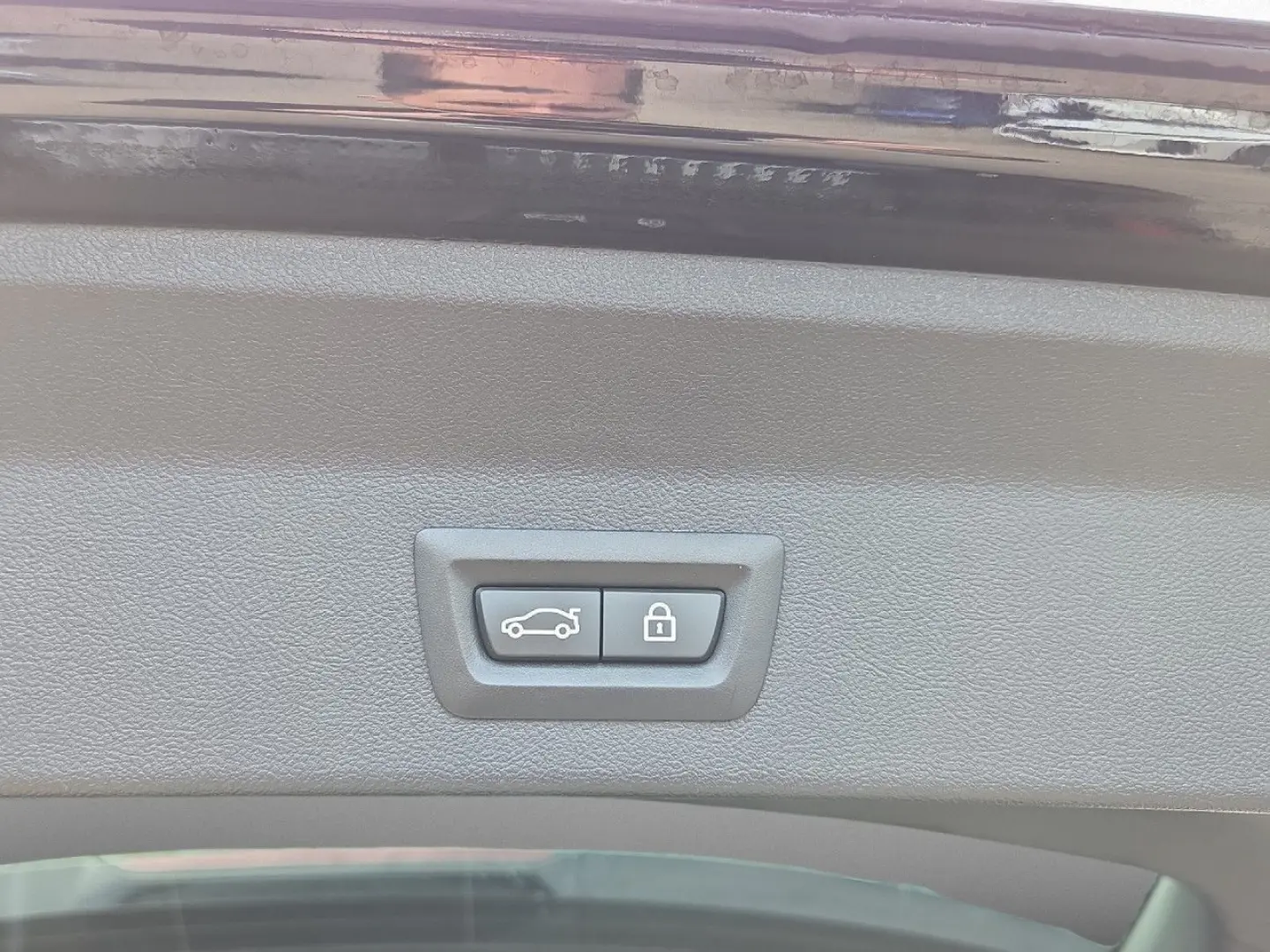 X3 M40iA 21  Pano DA  Pa  LiCPro AHK HUD Memory