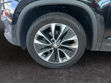 Kodiaq 1.5 TSI DSG Tour  AHK Sitzhz-hi el Heck