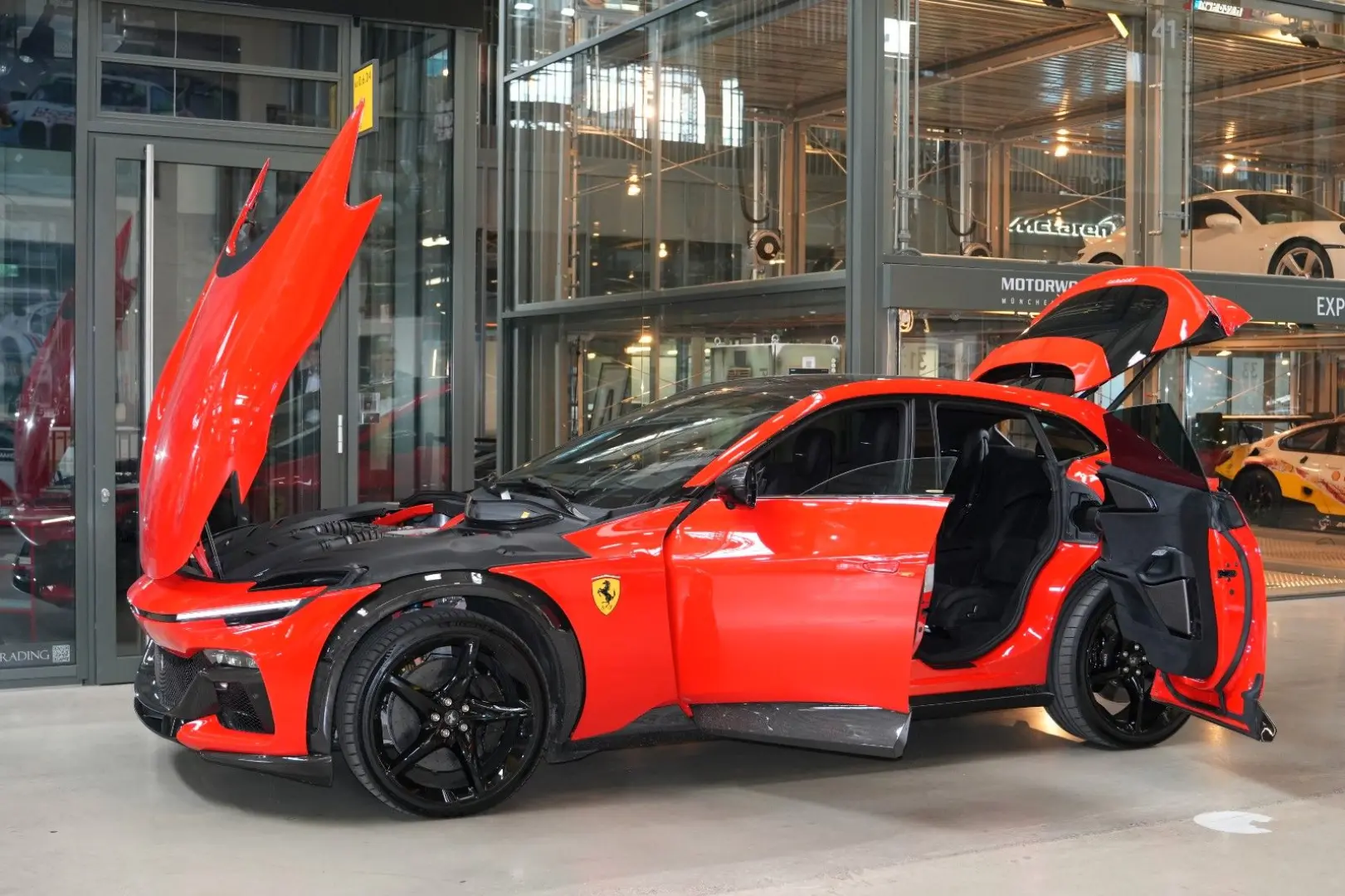 Purosangue  Carbon Sonderfarbe F1-2004 M.Schum