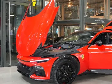 Purosangue  Carbon Sonderfarbe F1-2004 M.Schum