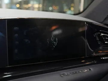 Purosangue  Carbon Sonderfarbe F1-2004 M.Schum