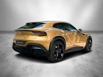 Purosangue   Special Colour