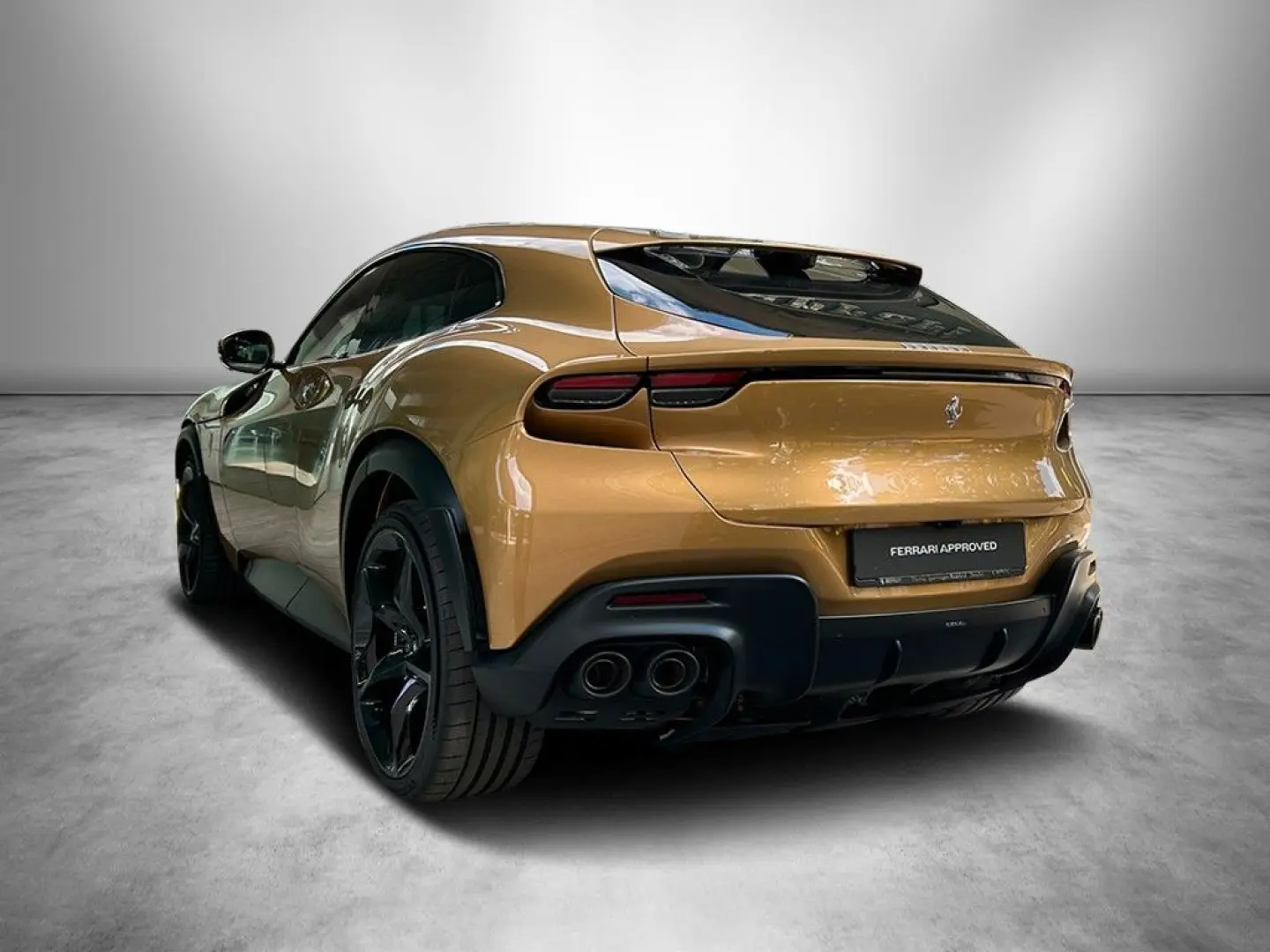 Purosangue   Special Colour