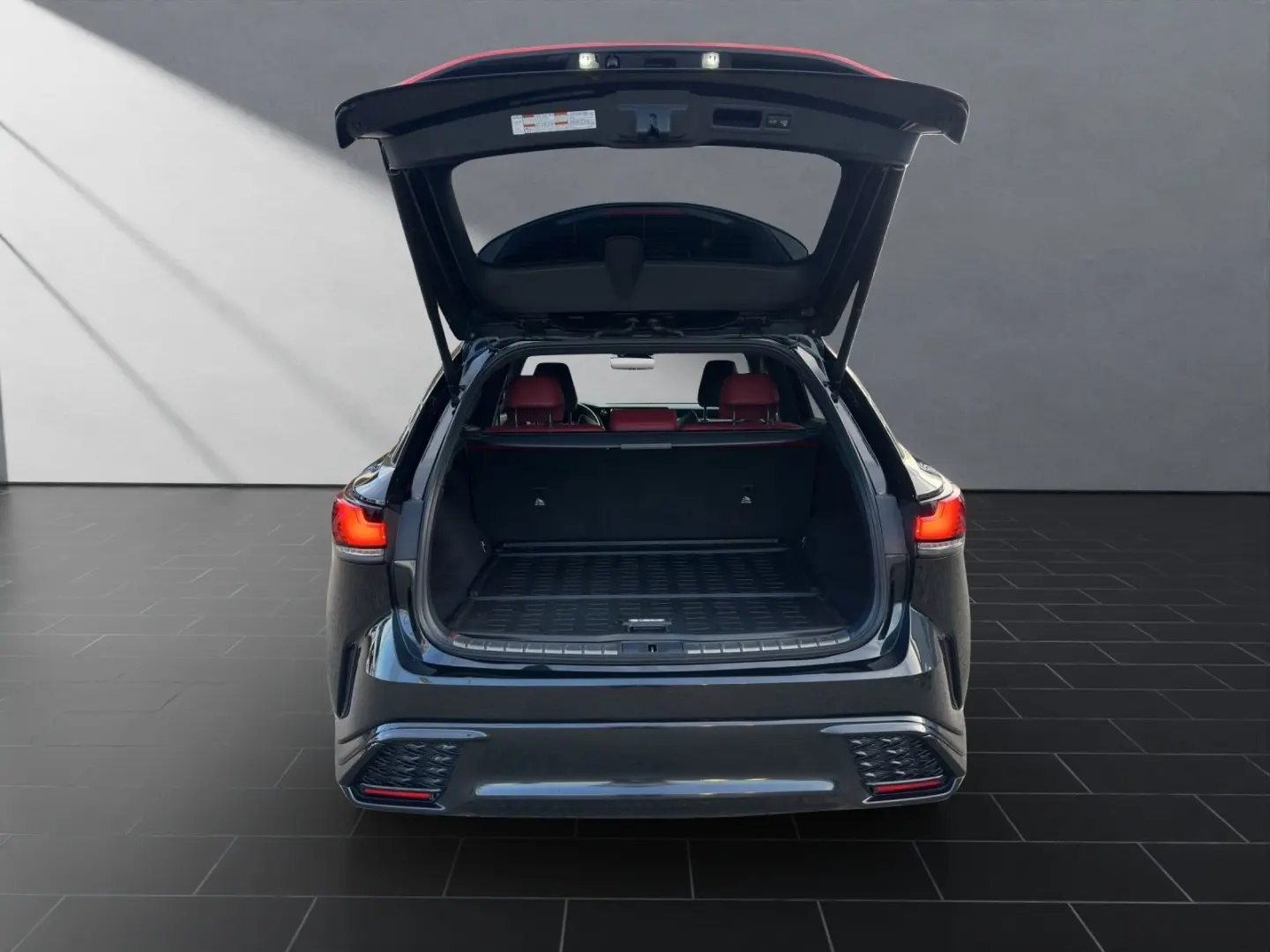 RX 500  F-SPORT  MARK-LEVINSON HUD 360 KAMERA