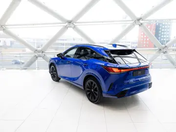 RX 500h   F Sport Line   Custom