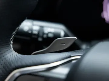 RX 500h   F Sport Line   Custom