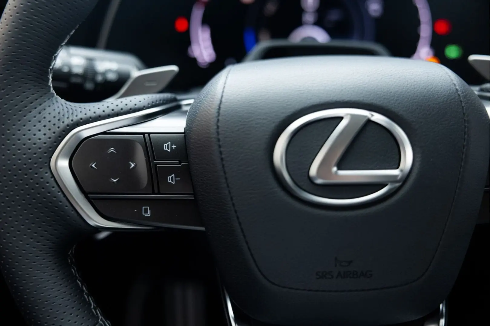 RX 500h   F Sport Line   Custom