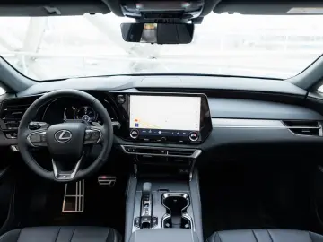 RX 500h   F Sport Line   Custom