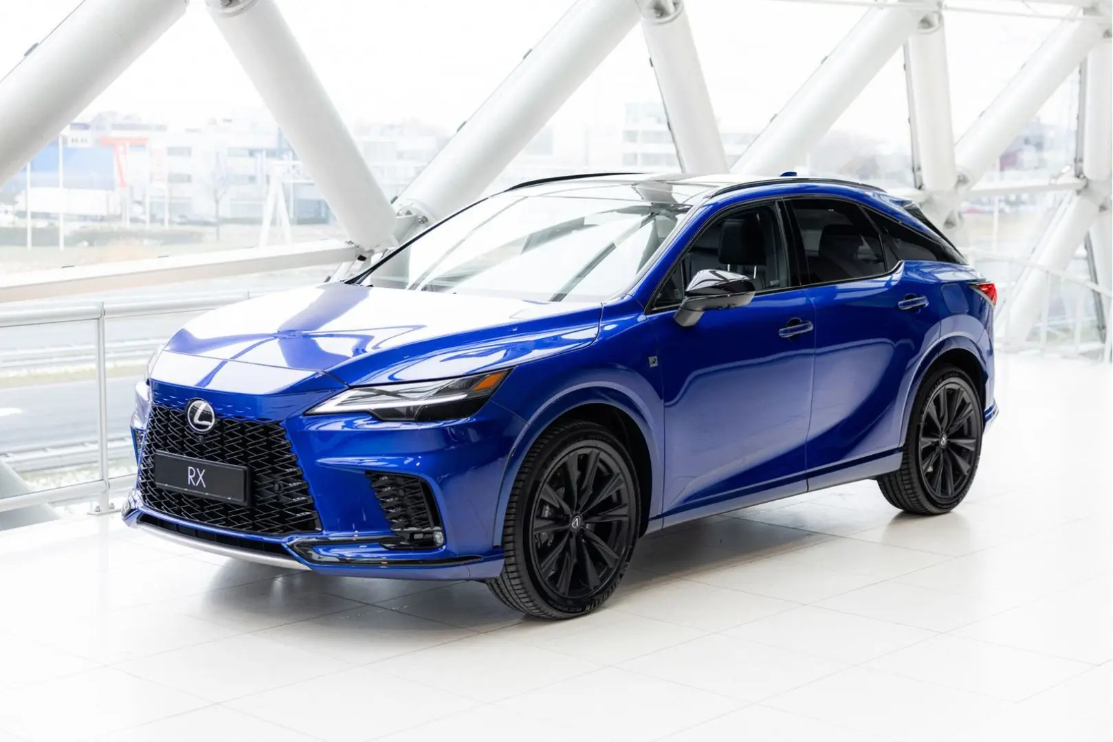 RX 500h   F Sport Line   Custom