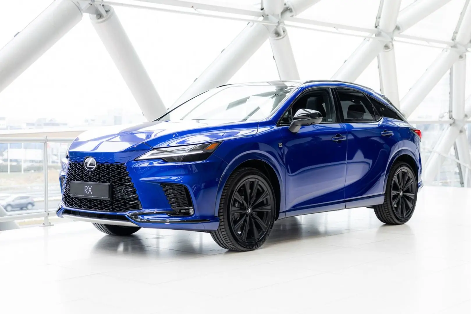 RX 500h   F Sport Line   Custom