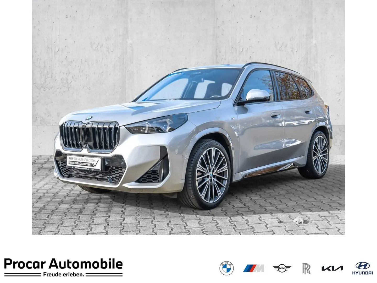 X1 xDrive23i M Sport Pro 20  Pano AHK DA Prof.