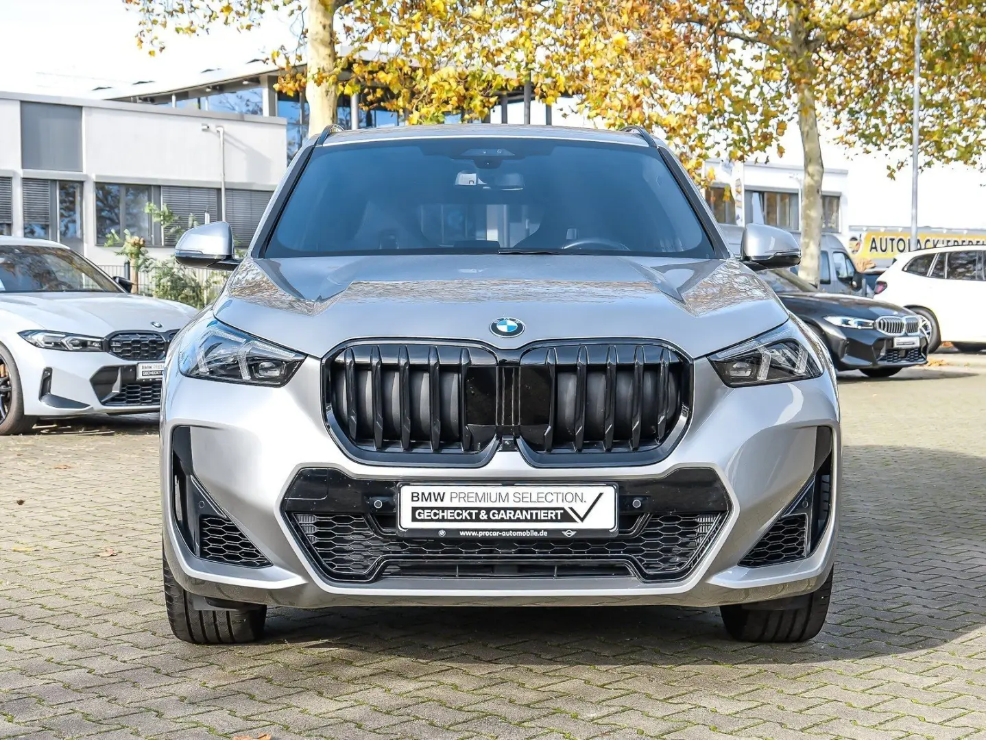 X1 xDrive23i M Sport Pro 20  Pano AHK DA Prof.