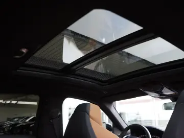 X6 M50i Individual Carbon M Sitze PanoSKY Iconic