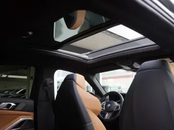 X6 M50i Individual Carbon M Sitze PanoSKY Iconic