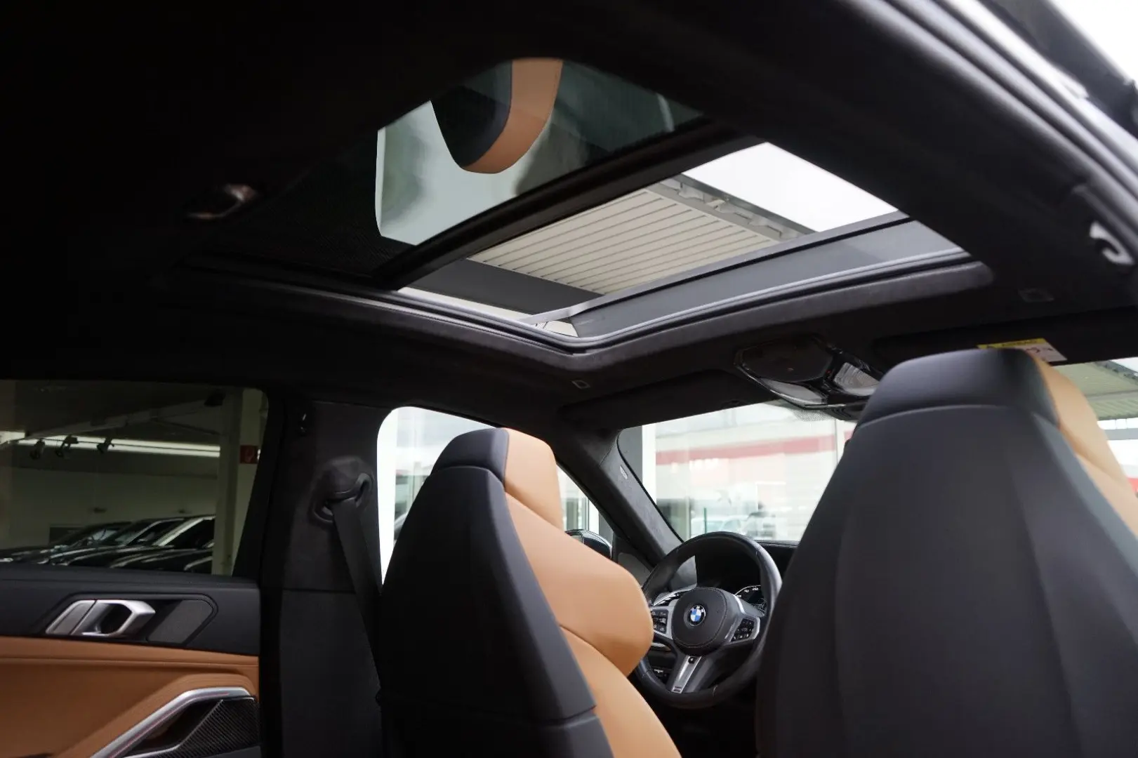 X6 M50i Individual Carbon M Sitze PanoSKY Iconic