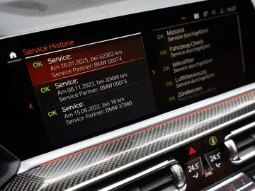 X6 M50i Individual Carbon M Sitze PanoSKY Iconic