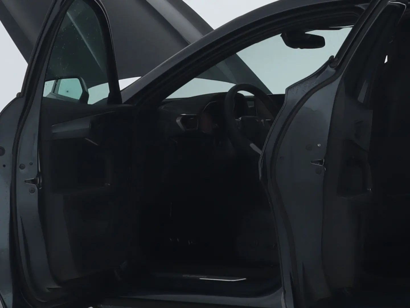 Formentor 4-Drive 2.0 TDI  DSG  FLA ACC SpurH