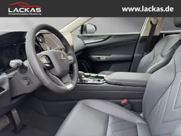 NX 350 h BUSINESS CONNECT-MY25  MEMORY 360KAM GA