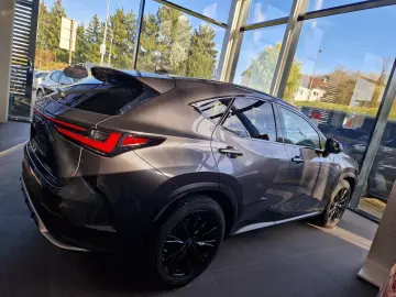 NX 350h E-FOUR F SPORT AHK HUD