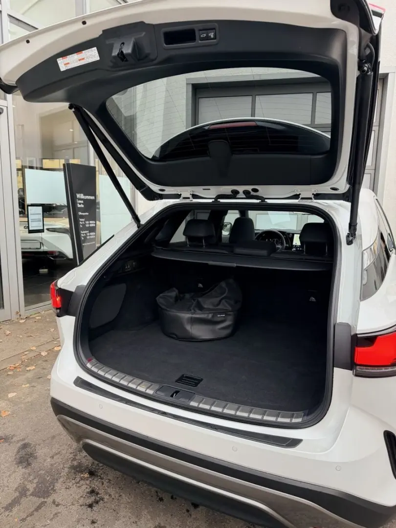 RX 450h  2 5 PHEV Luxury Line