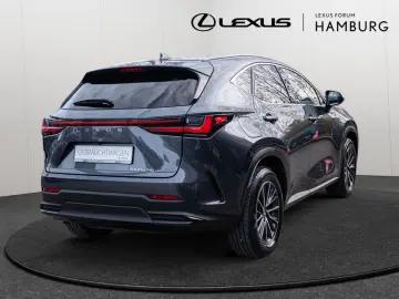 NX 450h   Executive Interieur Paket