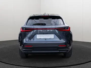 NX 450h   Executive Interieur Paket