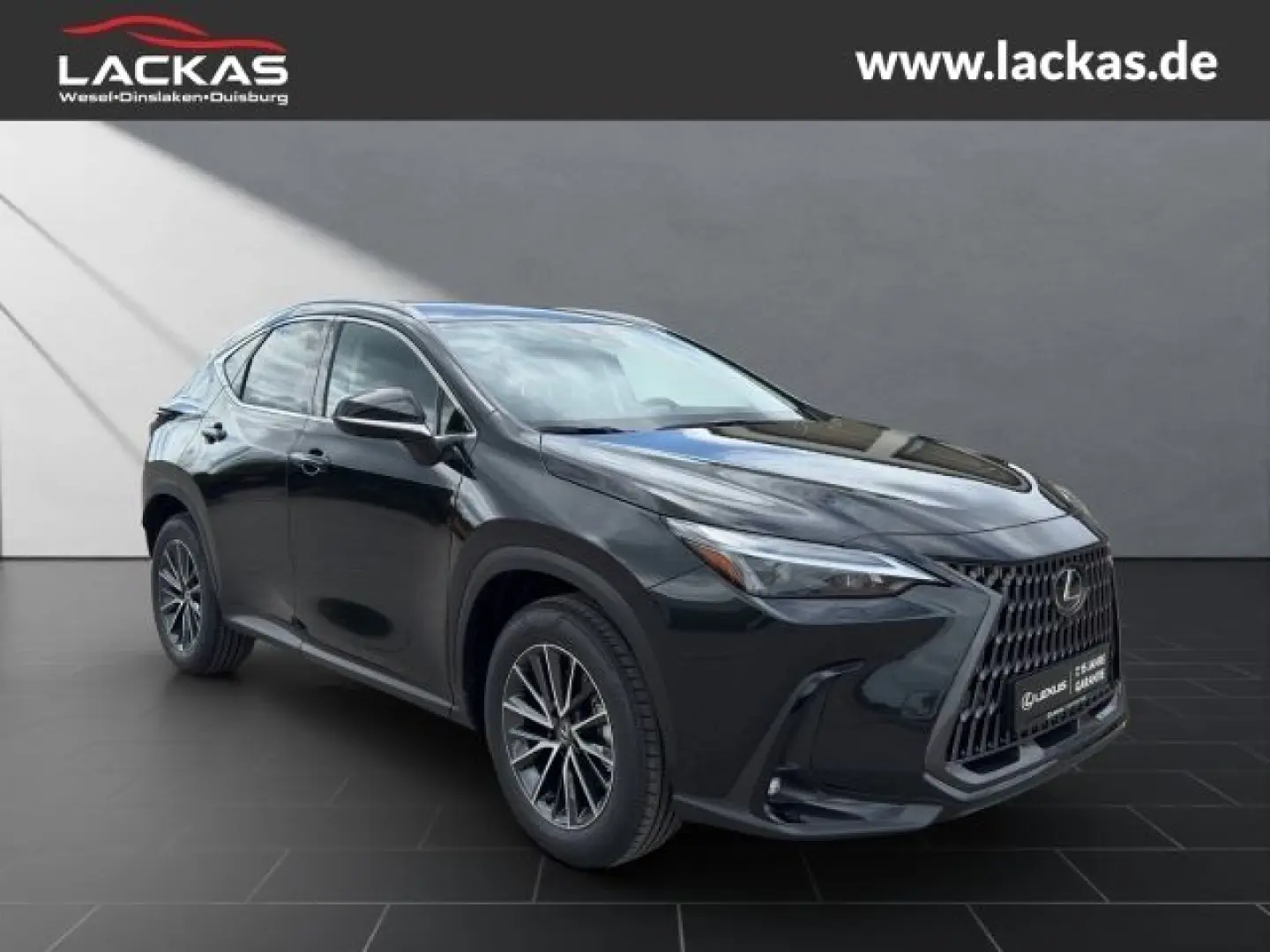 NX 350 h BUSINESS CONNECT-MY25  MEMORY 360KAM GA