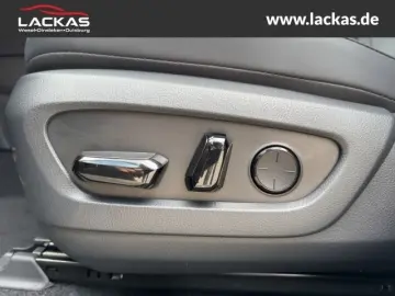 NX 350 h BUSINESS CONNECT-MY25  MEMORY 360KAM GA