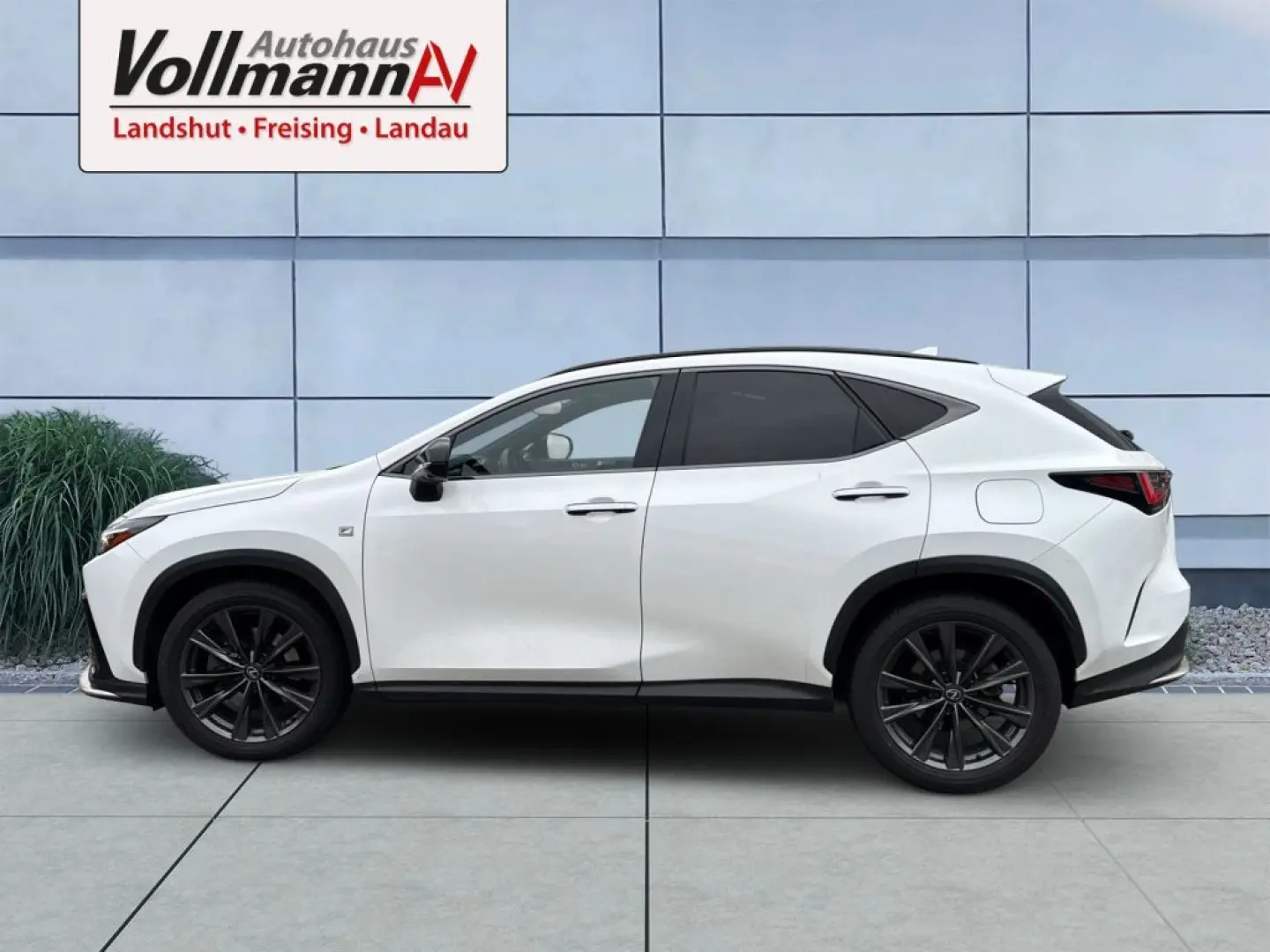 NX 450h  E-FOUR F SPORT-Paket